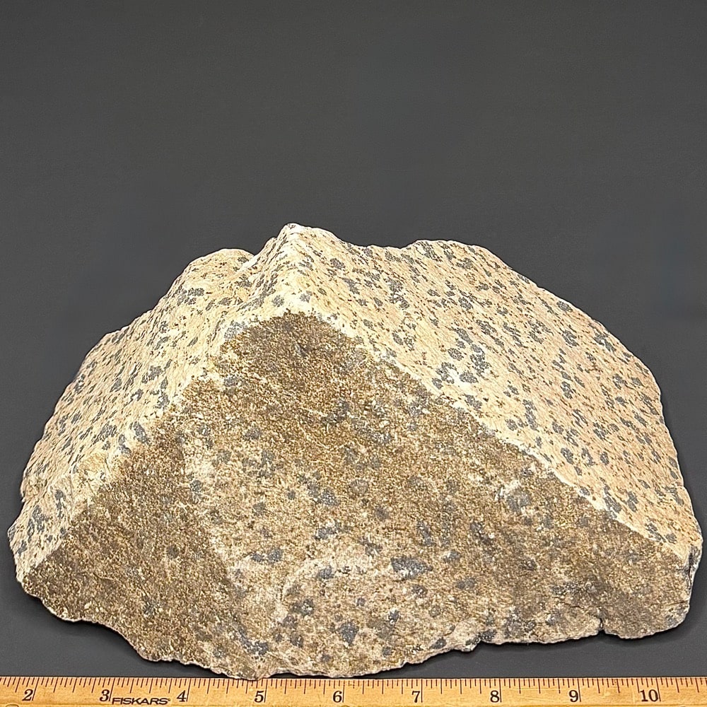 GR104 Dalmatian Stone - Image 2