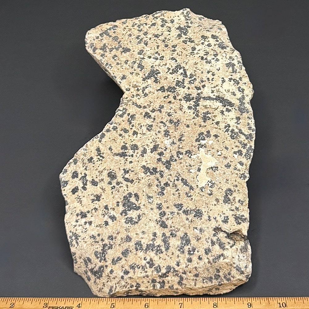 GR104 Dalmatian Stone - Image 3