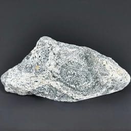 GR114 South Dakota Petrified Wood