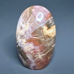 PR506 Petrified Wood Stand Up