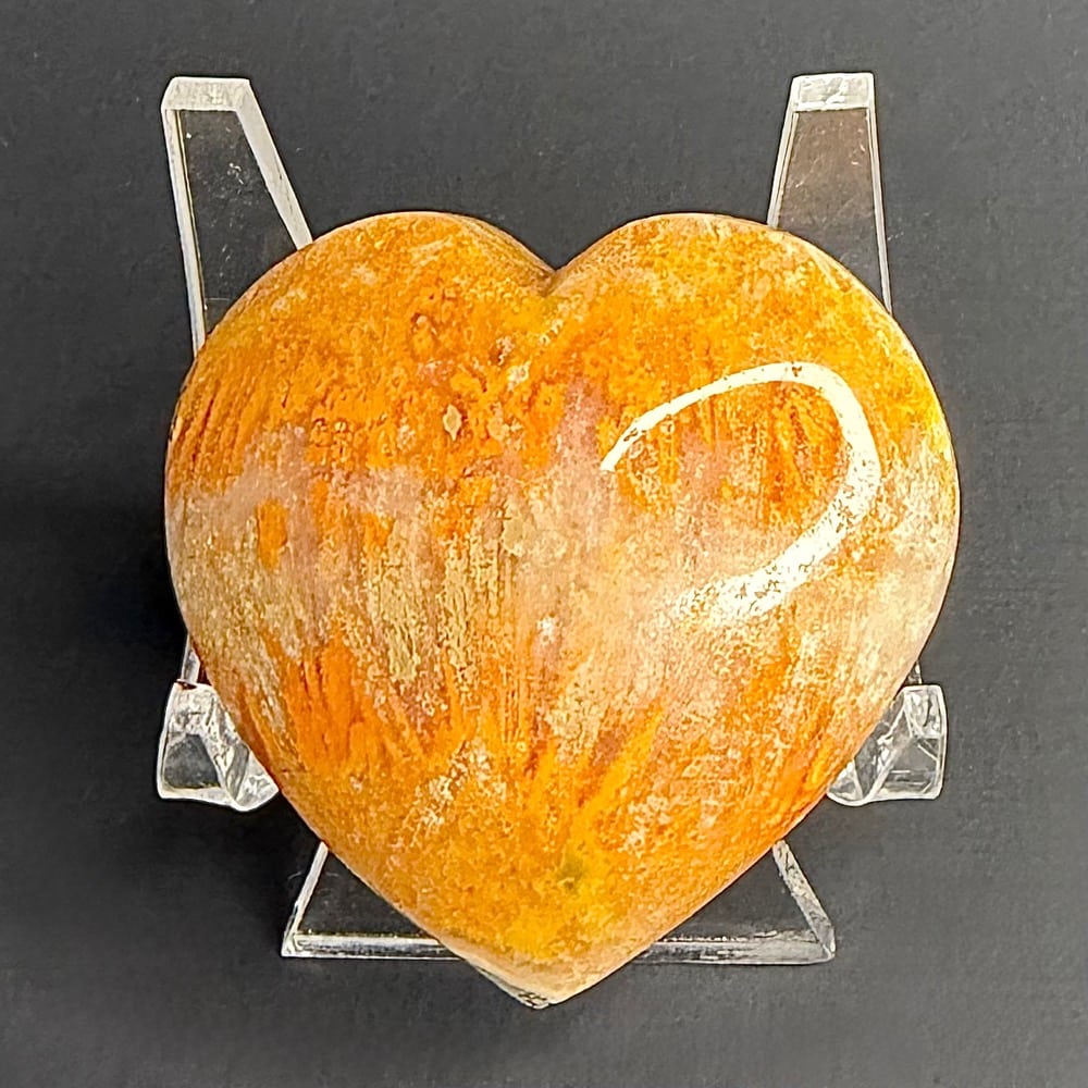 H504 Bumblebee Jasper