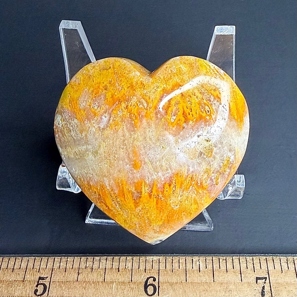 H504 Bumblebee Jasper - Image 2