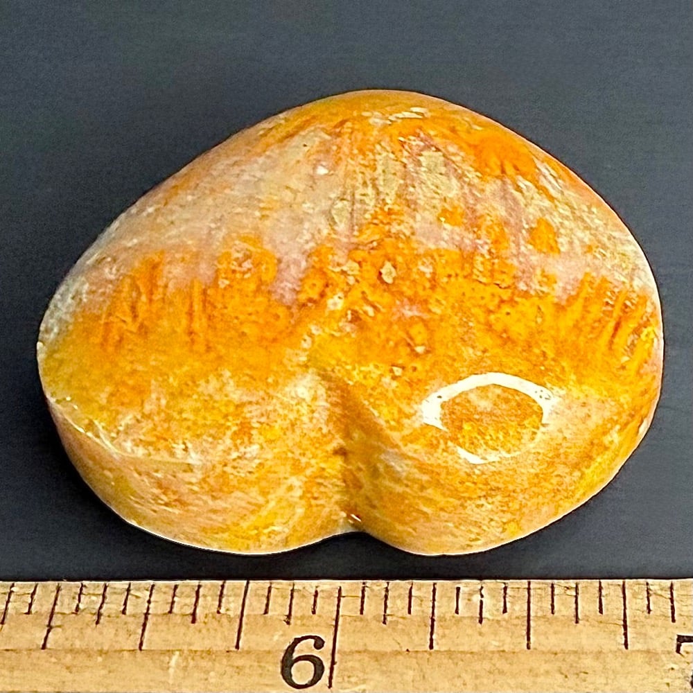 H504 Bumblebee Jasper - Image 3