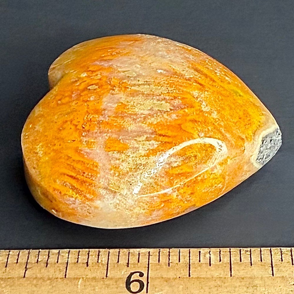 H504 Bumblebee Jasper - Image 4