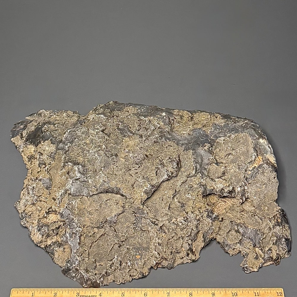 AGB208 Brazilian Agate Slab - Image 2