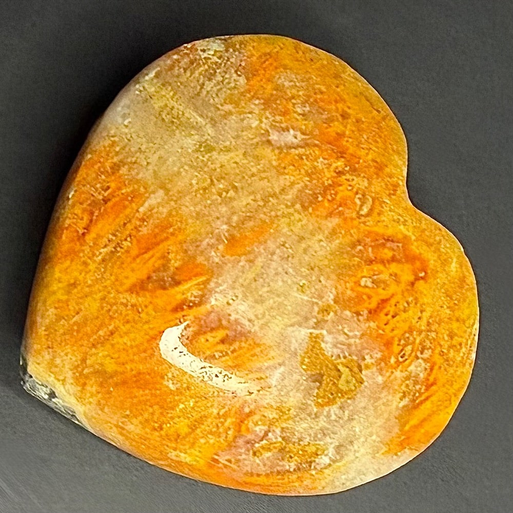 H504 Bumblebee Jasper