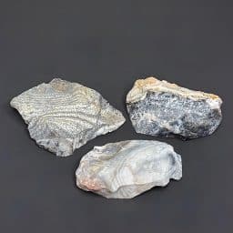 BCR409 Parral Jasper