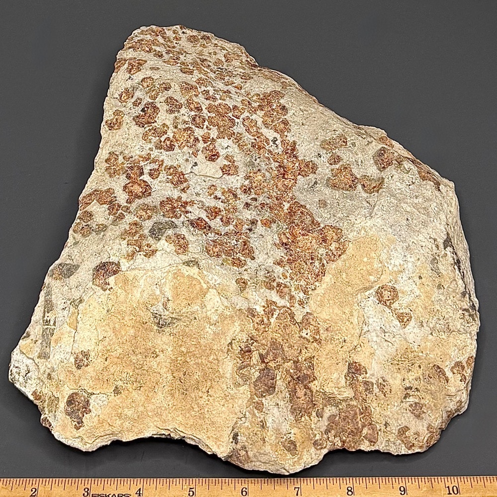 GR218 Garnet in Wollastonite Matrix - Image 2