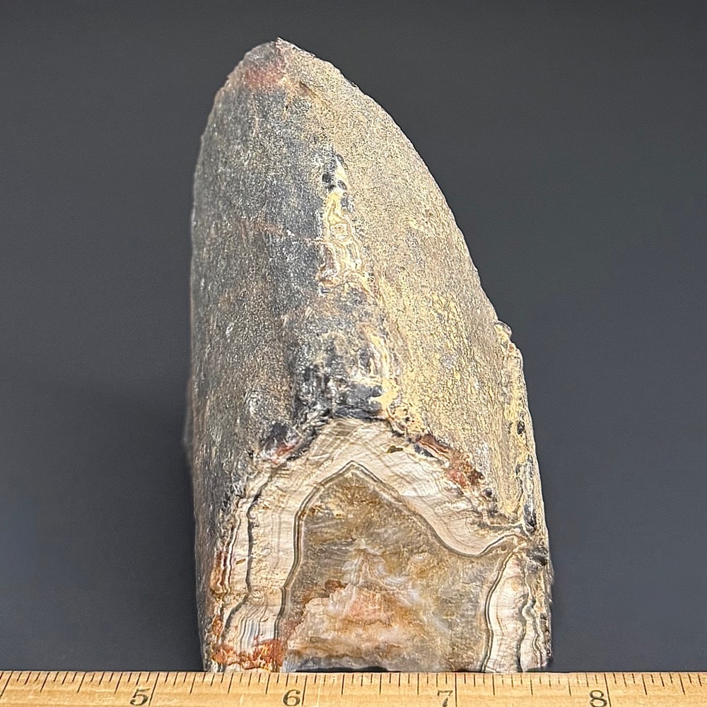 AGB303 Brazilian Agate End - Image 3