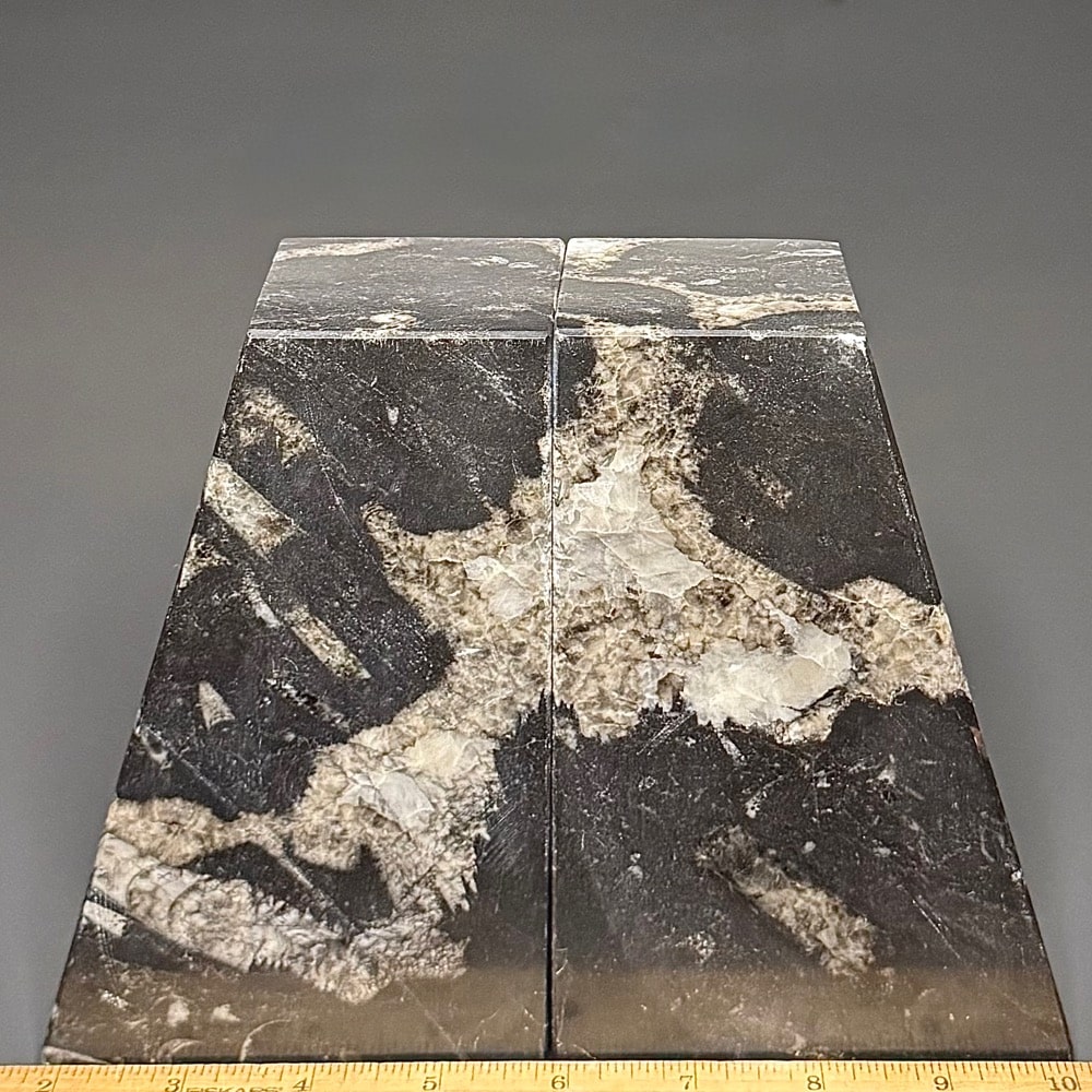 BK403 Geisonoceras Bookends