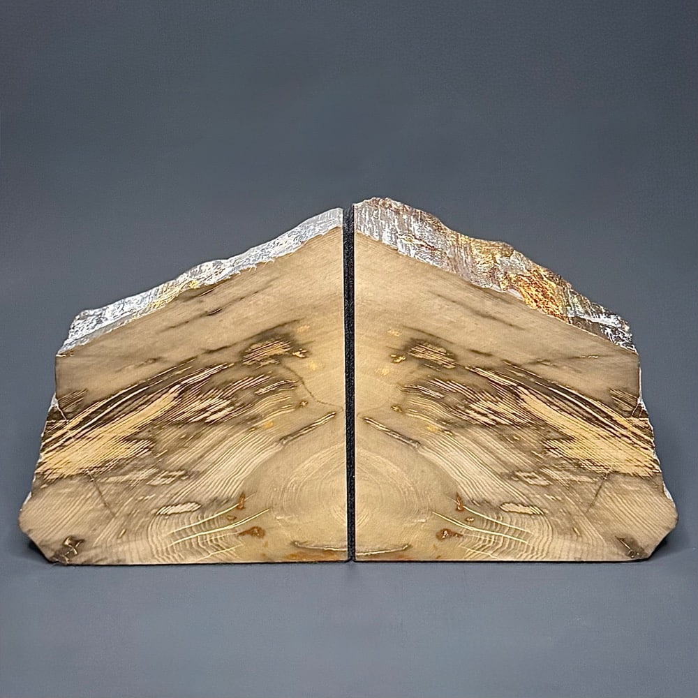BK507 Petrified Wood Bookends