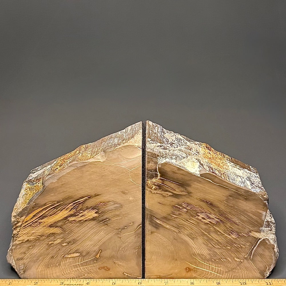 BK507 Petrified Wood Bookends - Image 3