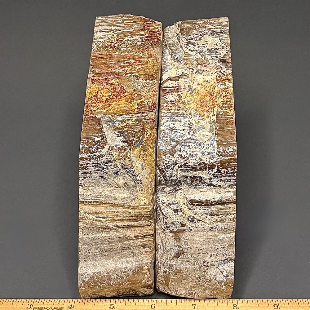 BK507 Petrified Wood Bookends