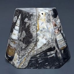 BK612 Orthoceras Bookends