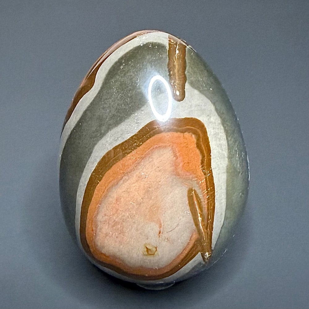 EGG212 Polychrome Jasper