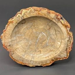 PW202 Madagascar Petrified Wood Bowl