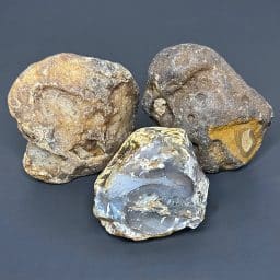 BCR321 Black Skin Agate