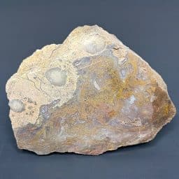 BCR409 Yellow Moss Agate