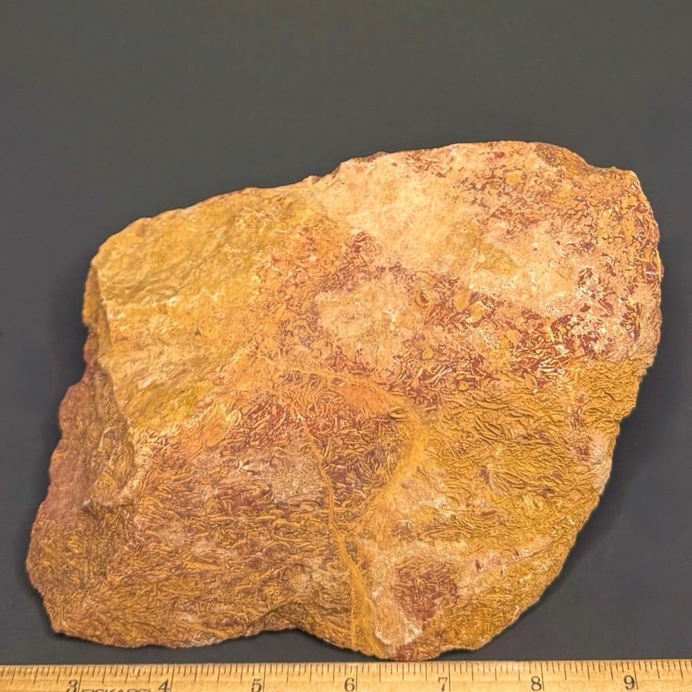 GR112 Coquina - Image 2