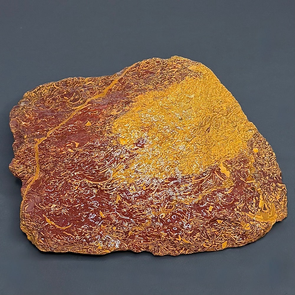 GR112 Coquina