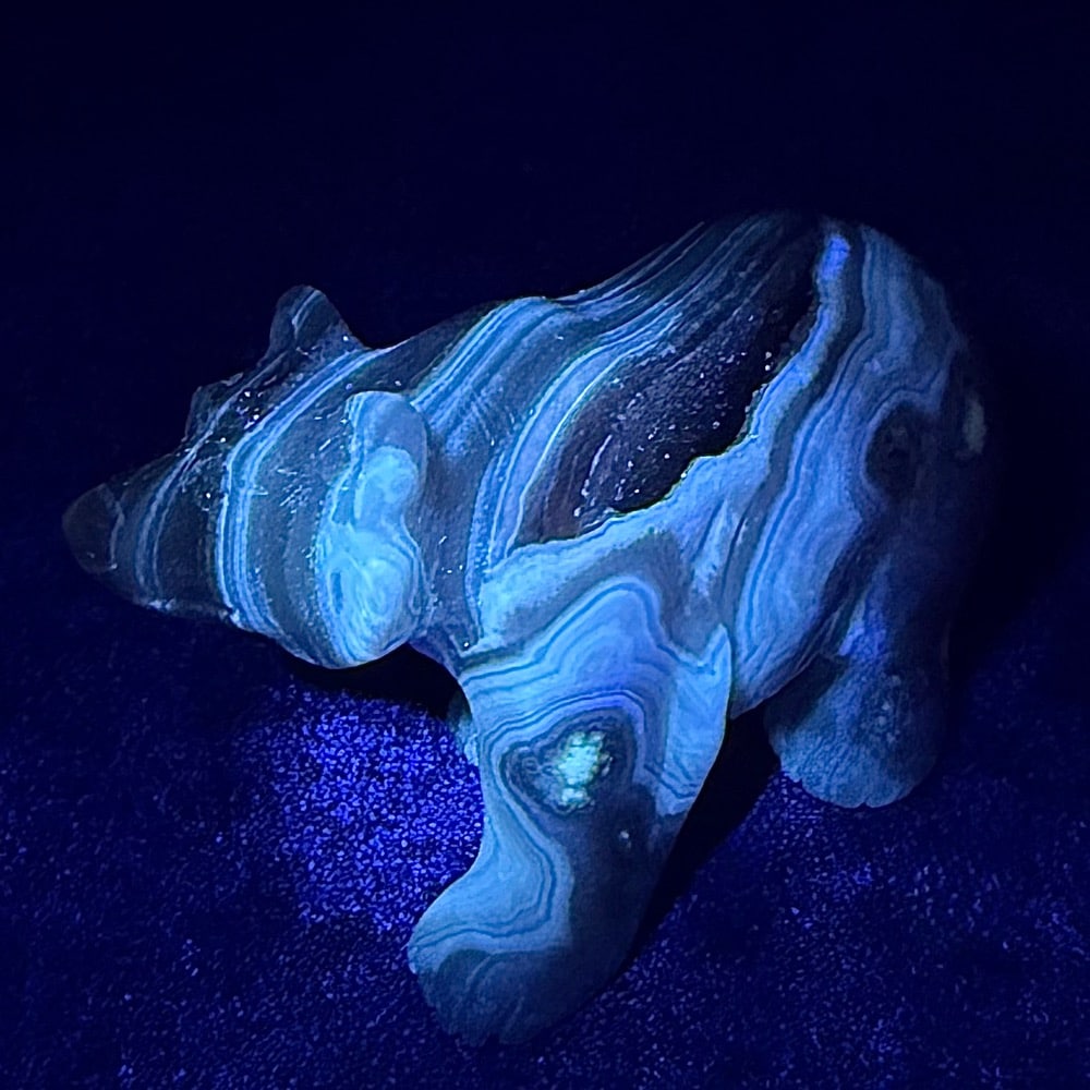 CV315 Agate Bear