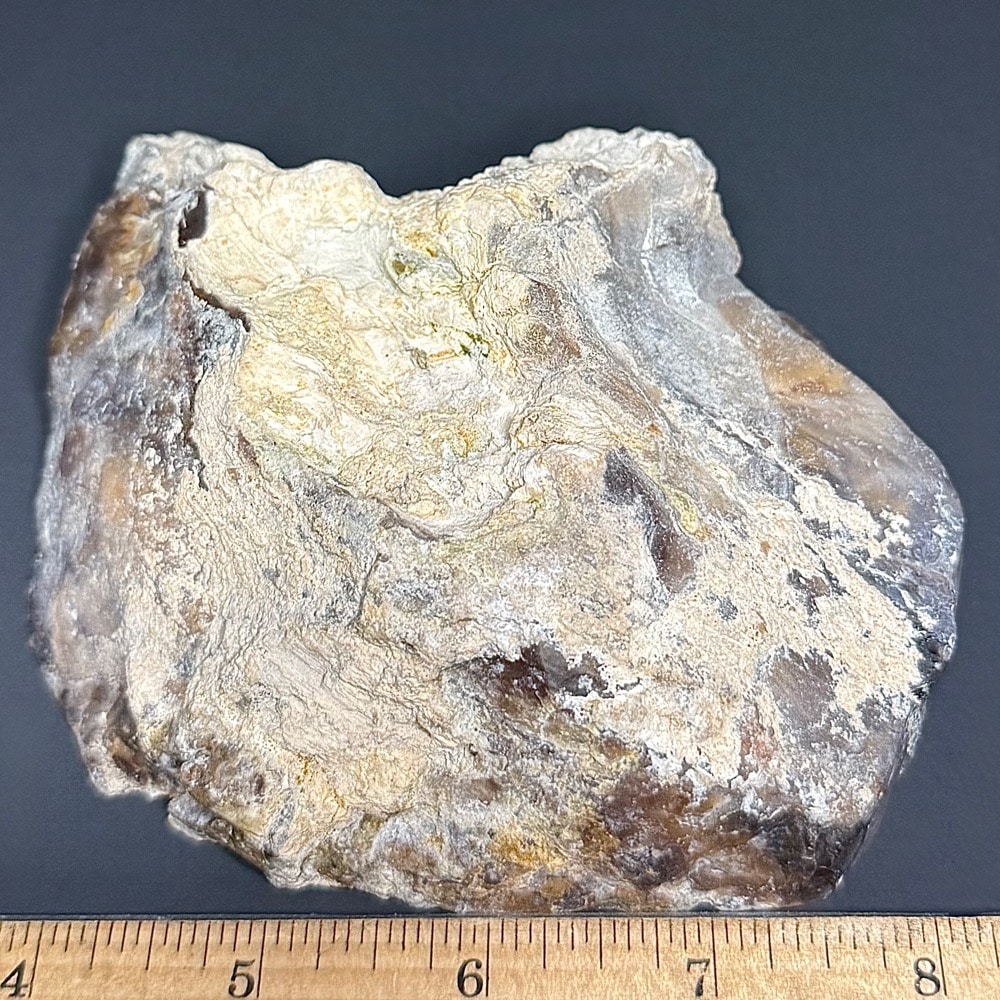 PR512 Petrified Wood - Image 2