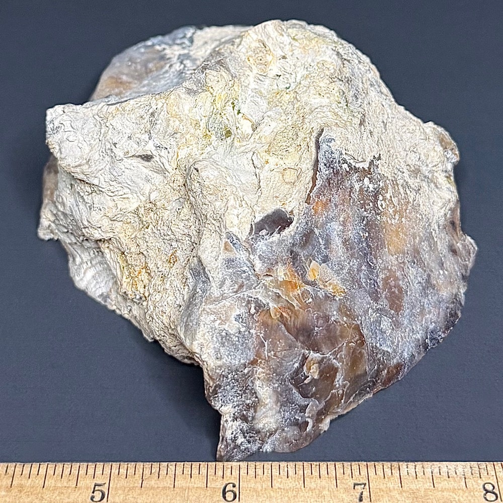 PR512 Petrified Wood