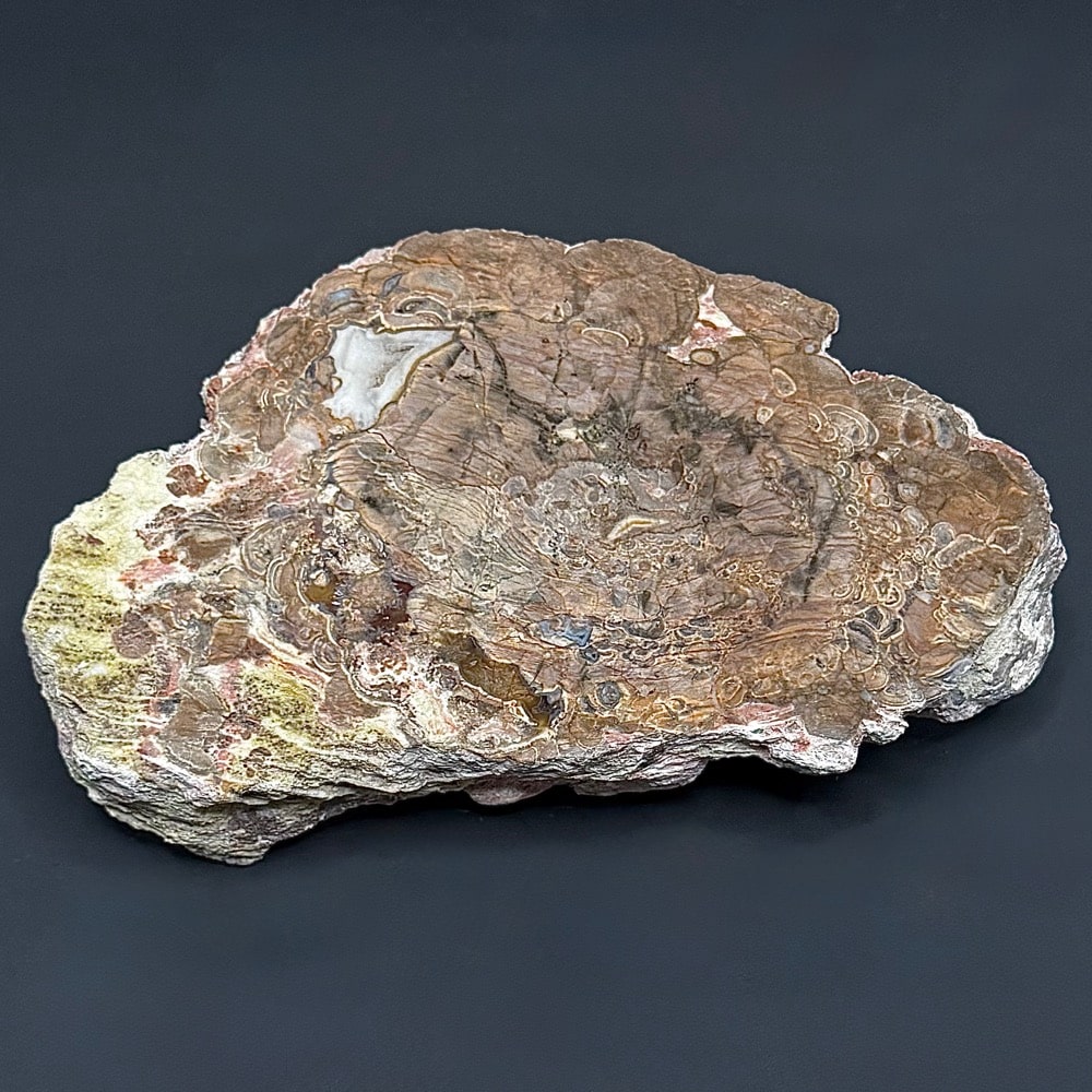 BCR315 Rhyolite Dugway Geode - Image 3