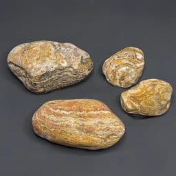 BCR318