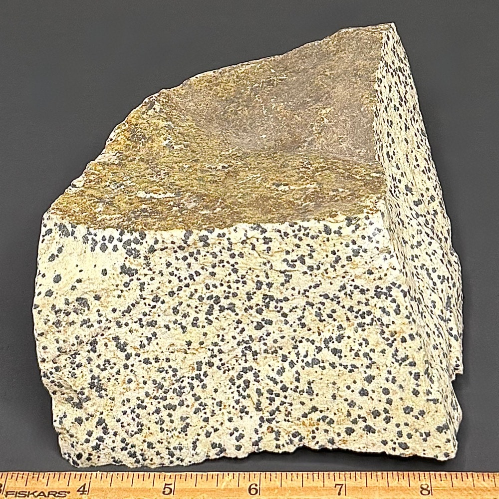 BCR319 Dalmatian Stone - Image 2