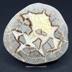 SEP101 Septarian End