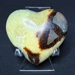 SEP200 Septarian End