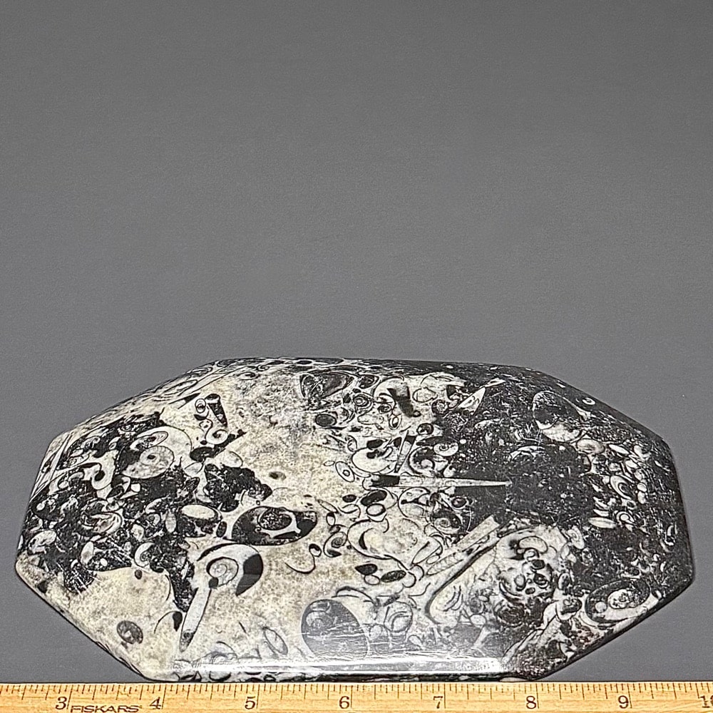 PR906 Fossil Rock Dish - Image 3
