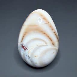 EGG301 Fishscale Jasper