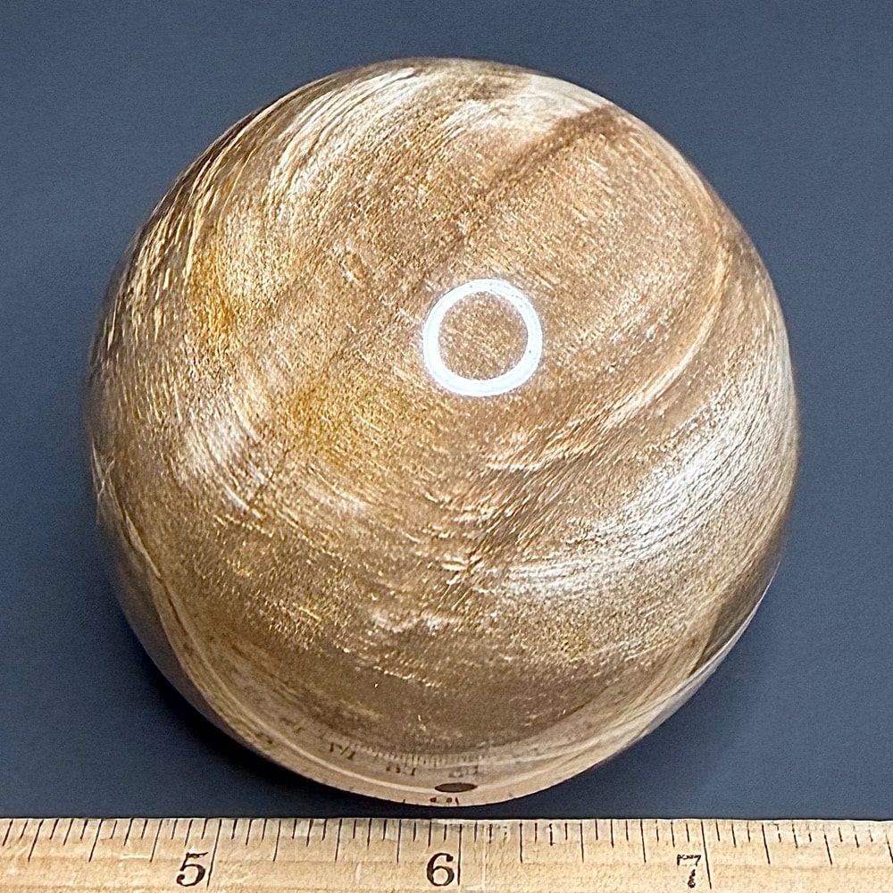 SP303 Petrified Wood - Image 2