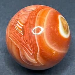 SP100 Sardonyx