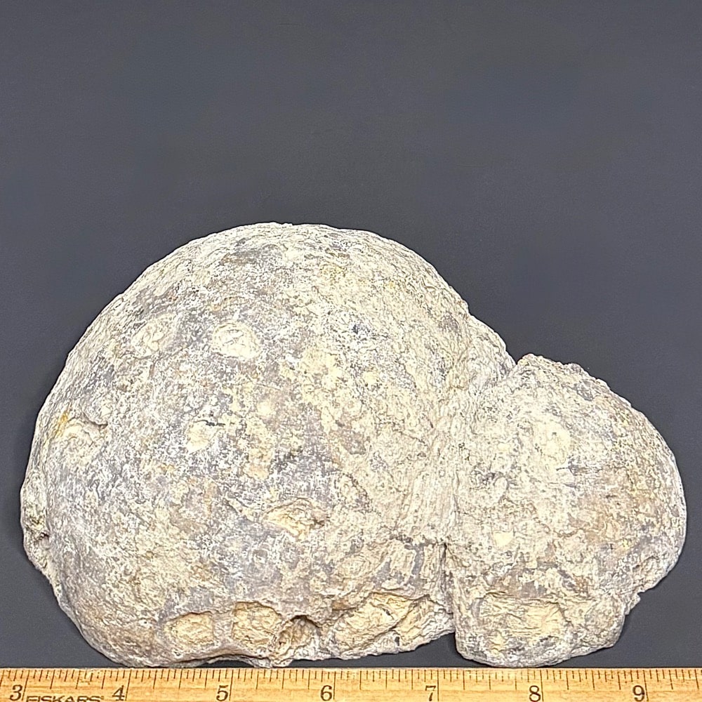PR316 Las Choyas Geode - Image 2
