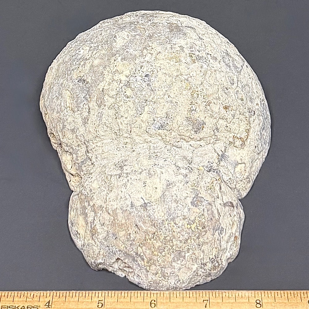 PR316 Las Choyas Geode