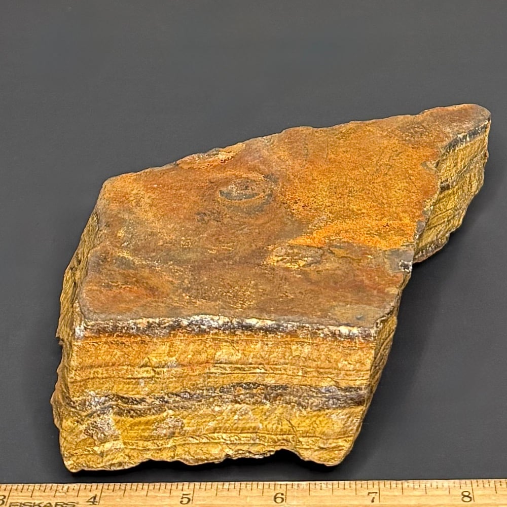BCR300 Tiger Eye - Image 2