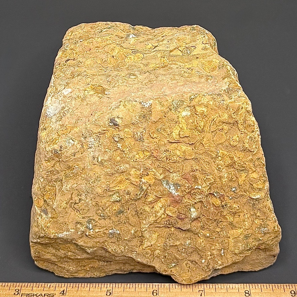 BCR407 Fruit Jasper - Image 2