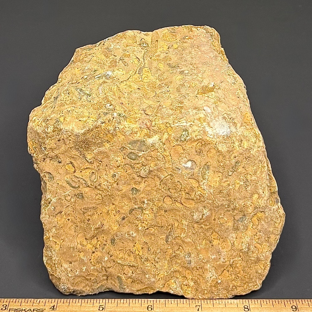 BCR407 Fruit Jasper - Image 3