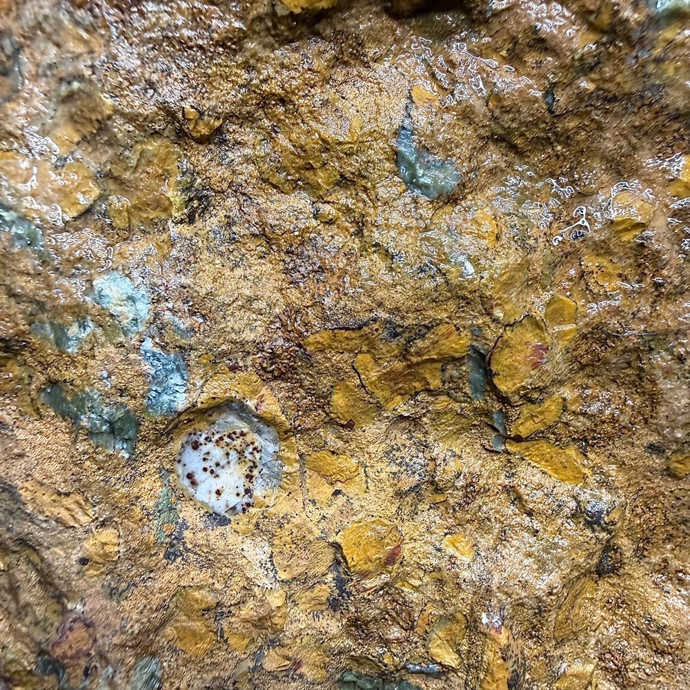 BCR407 Fruit Jasper