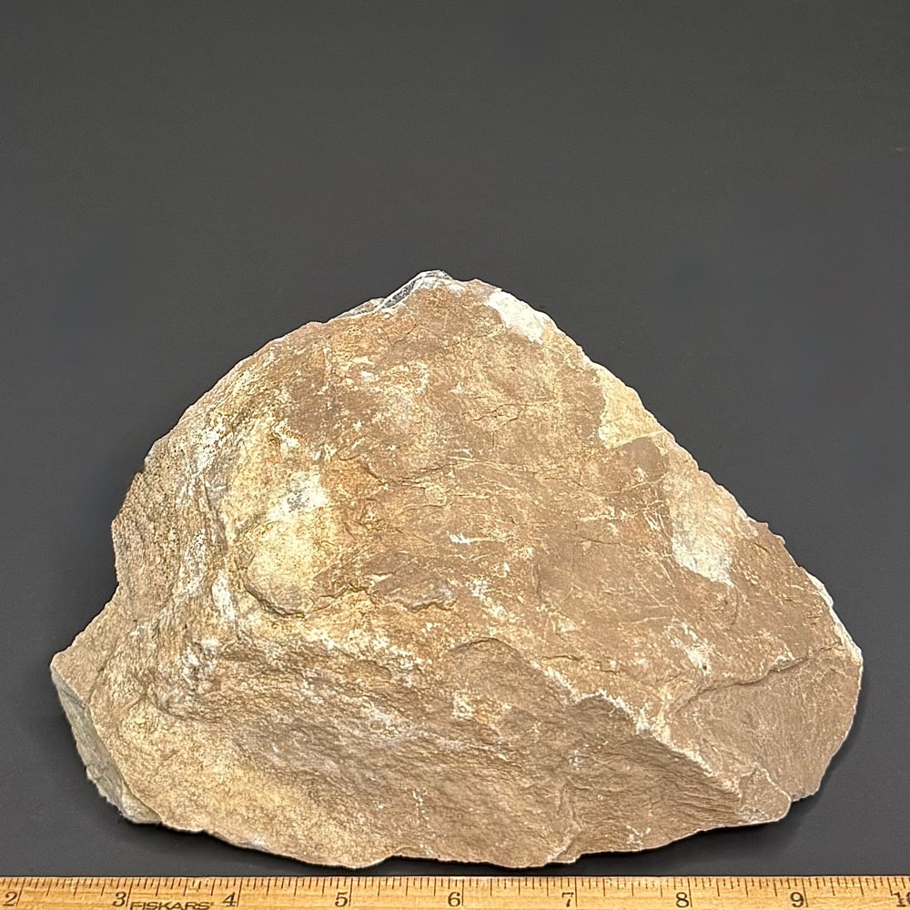 BCR424 Picasso Marble - Image 2