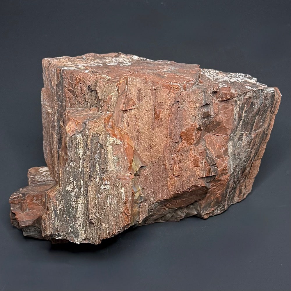 GR102 Arizona Petrified Wood