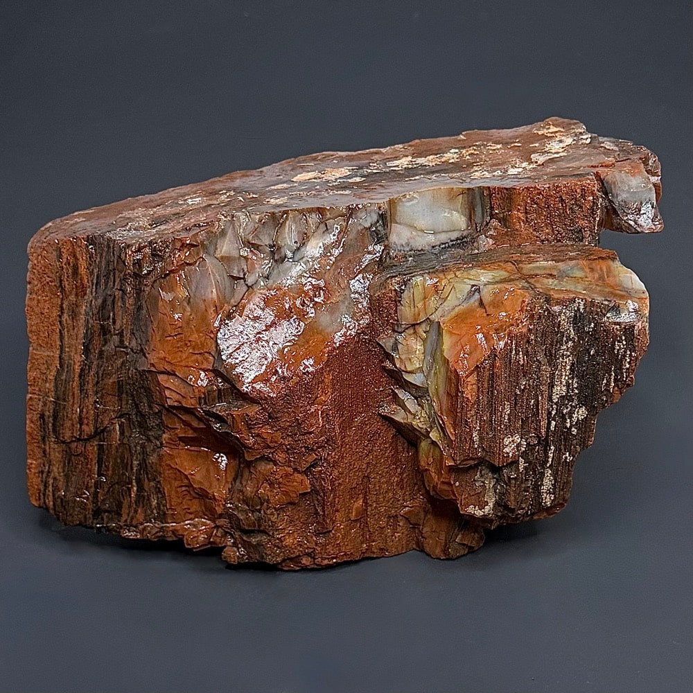 GR102 Arizona Petrified Wood