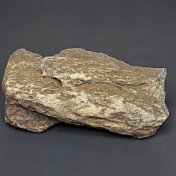 GR114 South Dakota Petrified Wood