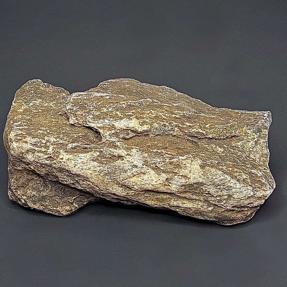 GR114 South Dakota Petrified Wood
