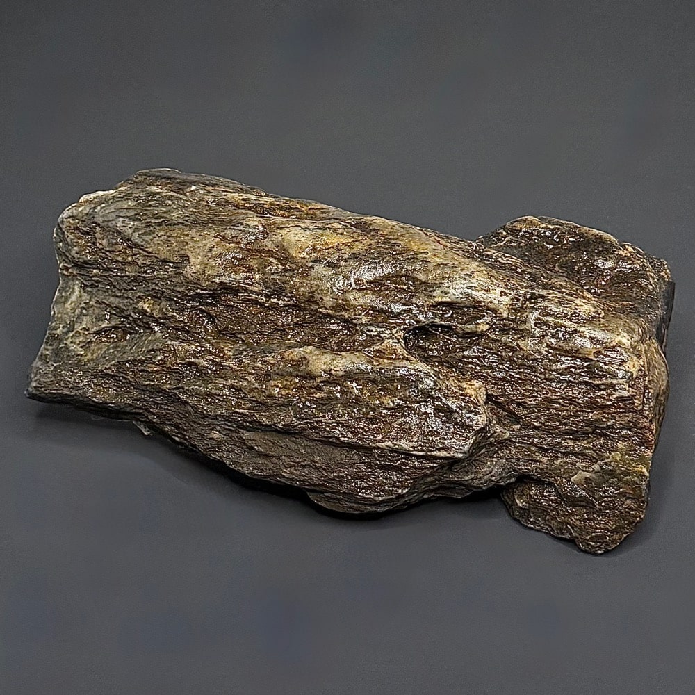 GR114 South Dakota Petrified Wood