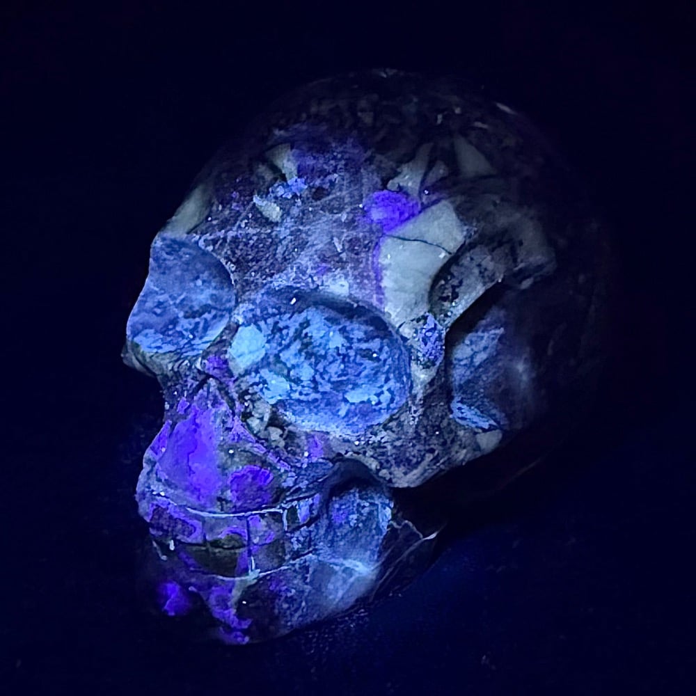 PR325 Fluorite Skull