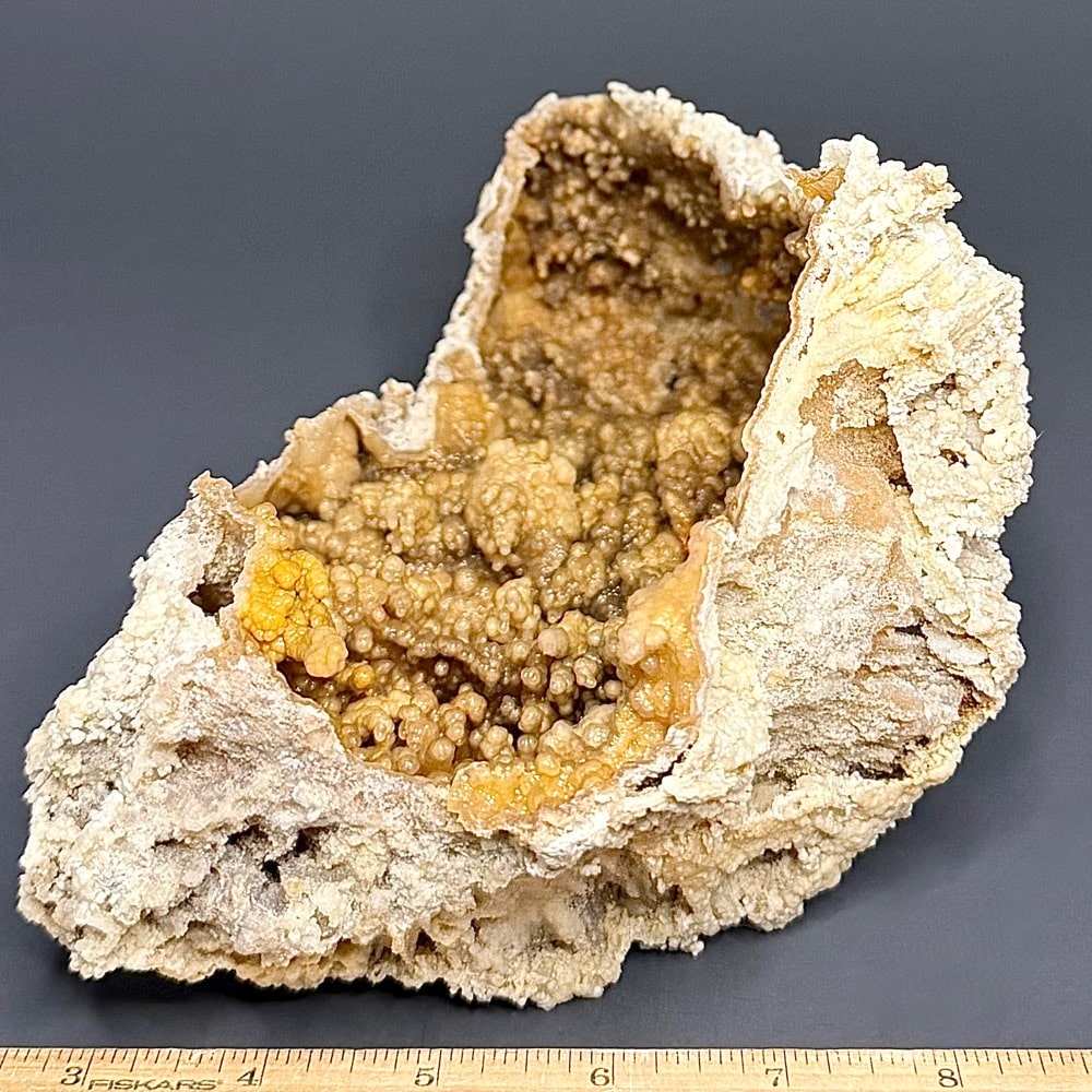 GAL1005 FOSSIL CORAL - Image 2